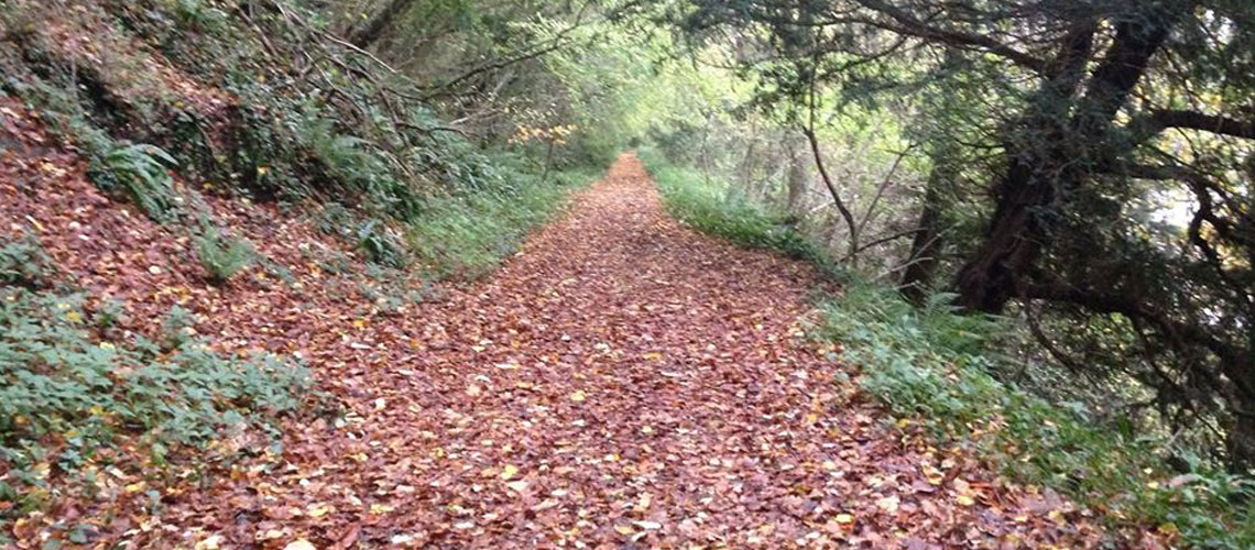 Autumn Wye Valley walk
